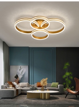 Đèn LED tròn ốp trần trang trí nội thất hiện đại DL 017