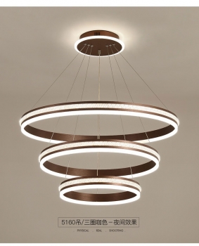 Đèn LED hiện đại trang trí nội thất ấn tượng DL 018